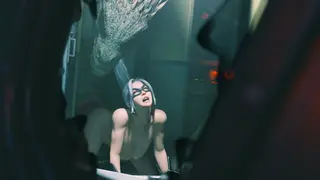 Black Cat & Lizard Impregnation