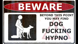 Intense Dog Fucking