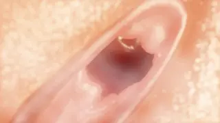 Ultra G's Naughty Anal Vore