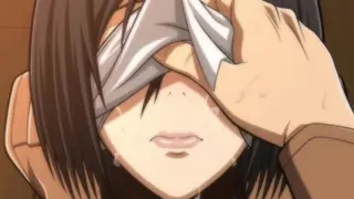 Mikasa Game