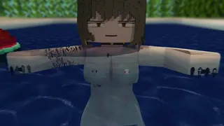 SOMMER-Animation