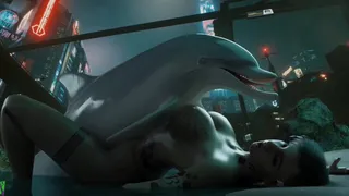 Clip Compilation Favorites