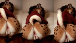 Big ass Hyena