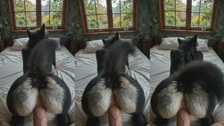 "Doggy"style pov