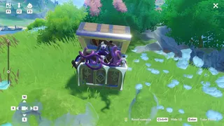 Exquisite Chest Mimic
