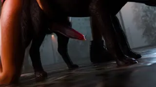 La Dualidad de una Chica