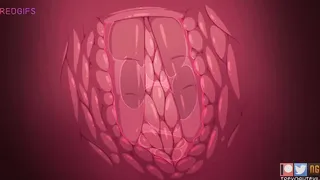 Hentai: Masturbazione con Figa Aperta