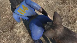 Adventura Nora's Fallout 2
