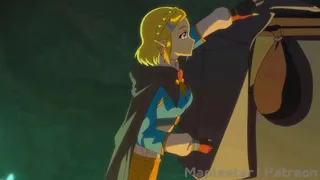 Il Visitatore a Sorpresa di Zelda