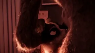 Female Border Collie Gets Fucked Hard By Hunky Wolf