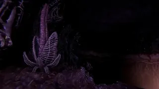 Monster Girls ครองอำนาจในผจญภัยอนิเมะ BDSM 3D - Lust From Beyond