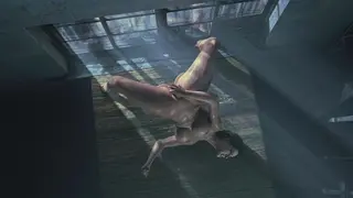Jill Solo