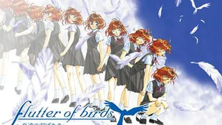 Flutter of Birds Episode 1