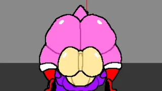การผจญภัยของ Amy Rose 2