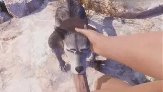 Rasha, the furry wolf-girl, fucked by a big guy