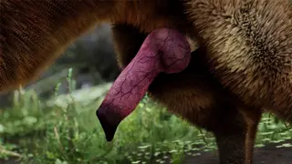 늑대와의 장난스러운 오솔길 만남