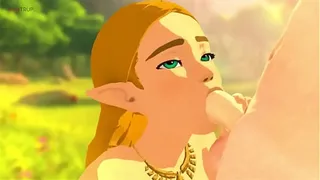 The Legend Of Zelda SFM Compilation With Sounds