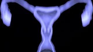 Wolf Alilkira in Intense Ecchi Scene